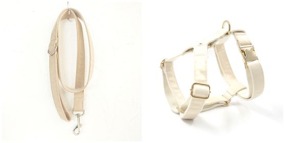 Dog collar traction rope (Option: Set-XS)