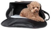 Airline Approved Sky-Max Modern Collapsible Pet Carrier