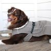 Alpine Tuf Terrain Dog Coat